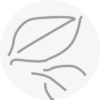 Fondo Bianco Stampa Grigio