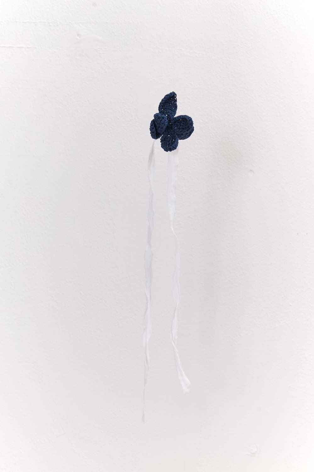 Cornflower